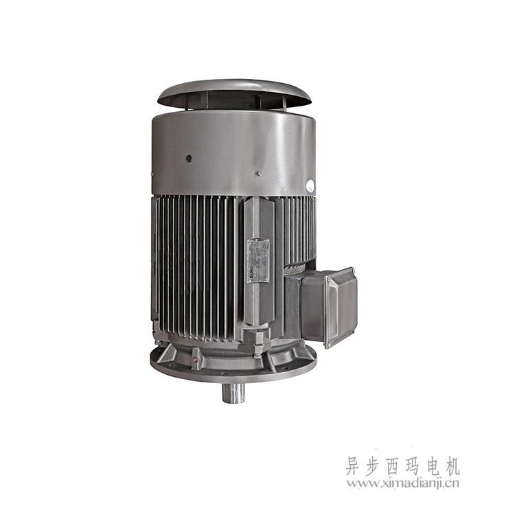 1723108862352797.jpg YE3 (6).jpg