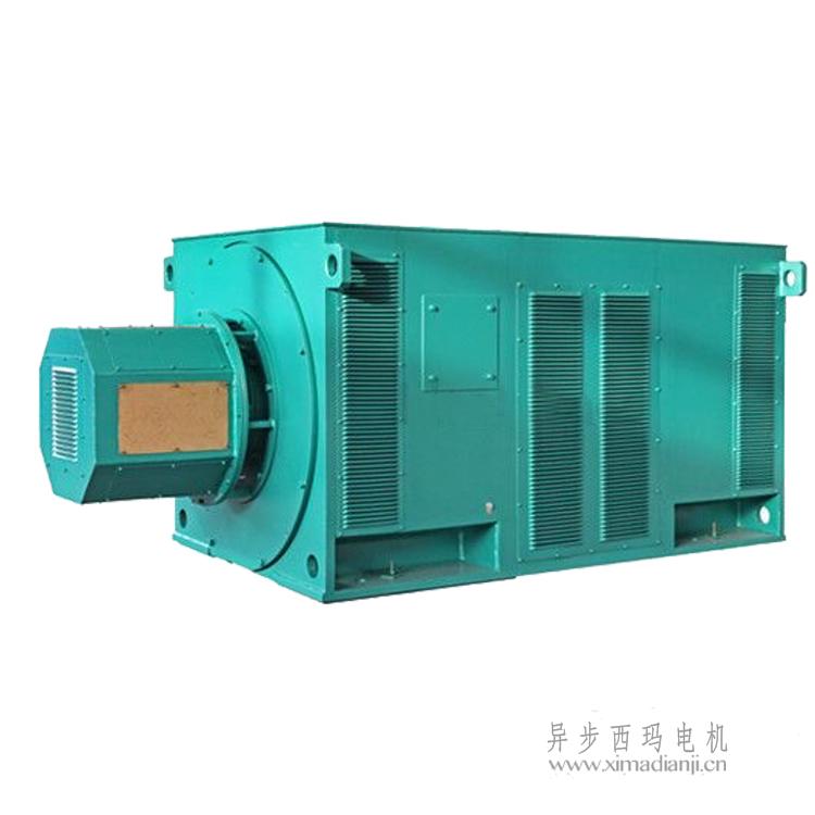 1729584757668208.jpg YR.jpg